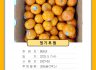 5월 정기 후원(뚱청과)