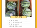 [정기후원] 뚱청과